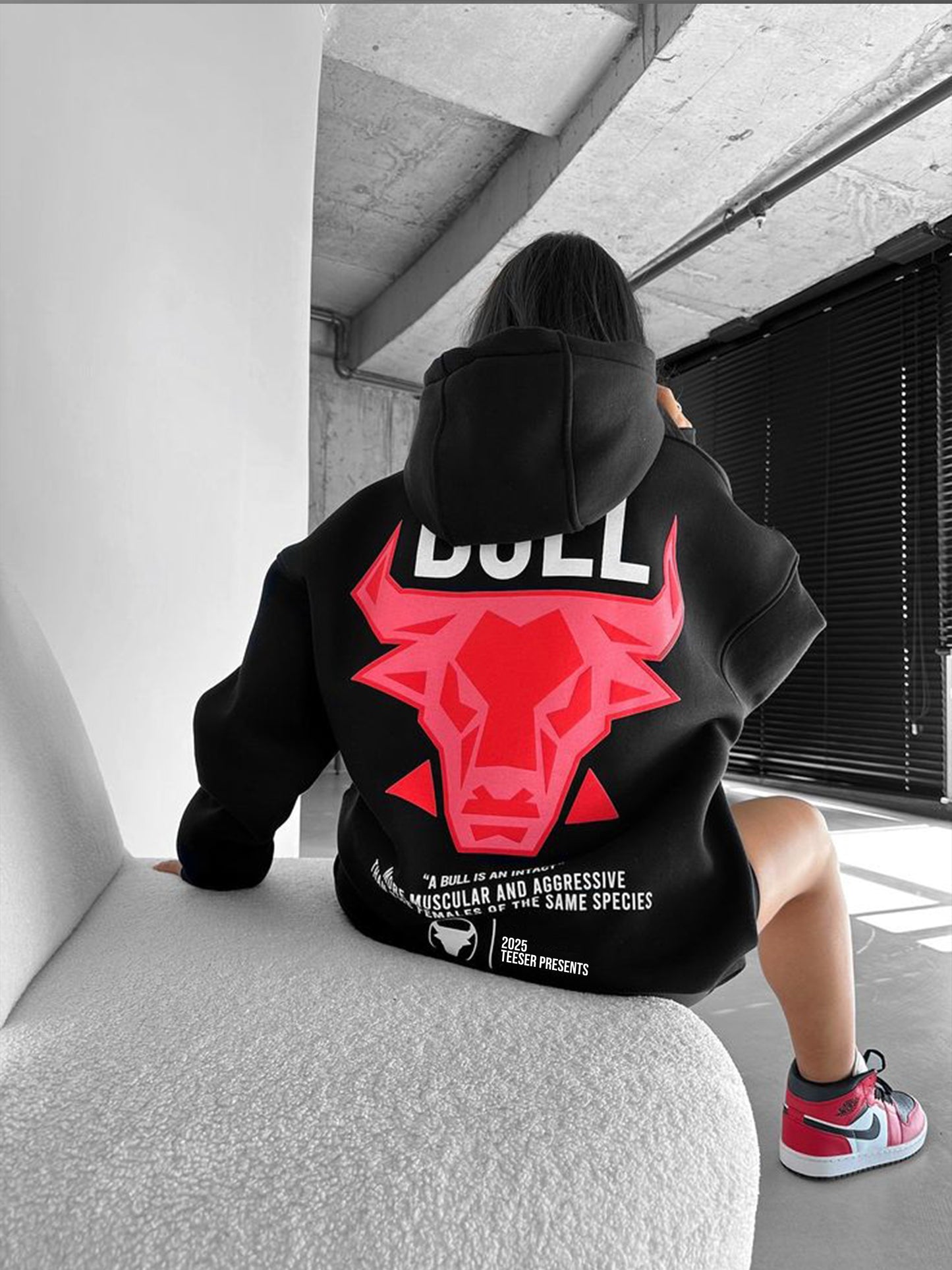 Bull Oversized Graphic Hoodie